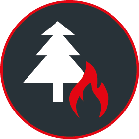 Waldbrand