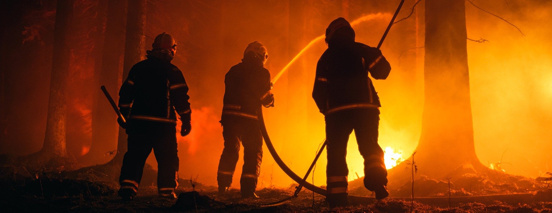 Feuerwehrmänner beim Löschen eines Waldbrands