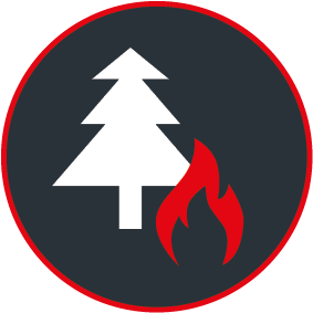 Waldbrand