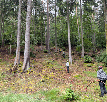 Tragbares Zumischsystem DZ1000 light im Einsatz bei einer Waldbrandübung