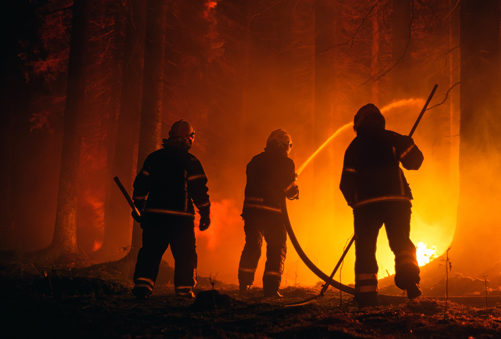 Fighting wildfires